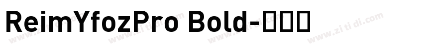 ReimYfozPro Bold字体转换